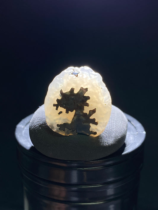 (1108)Alxa Gobi Desert sugar heart Agate, moss agate, rough nature stone, Natural Color Raw Stone from Inner Mongolia.