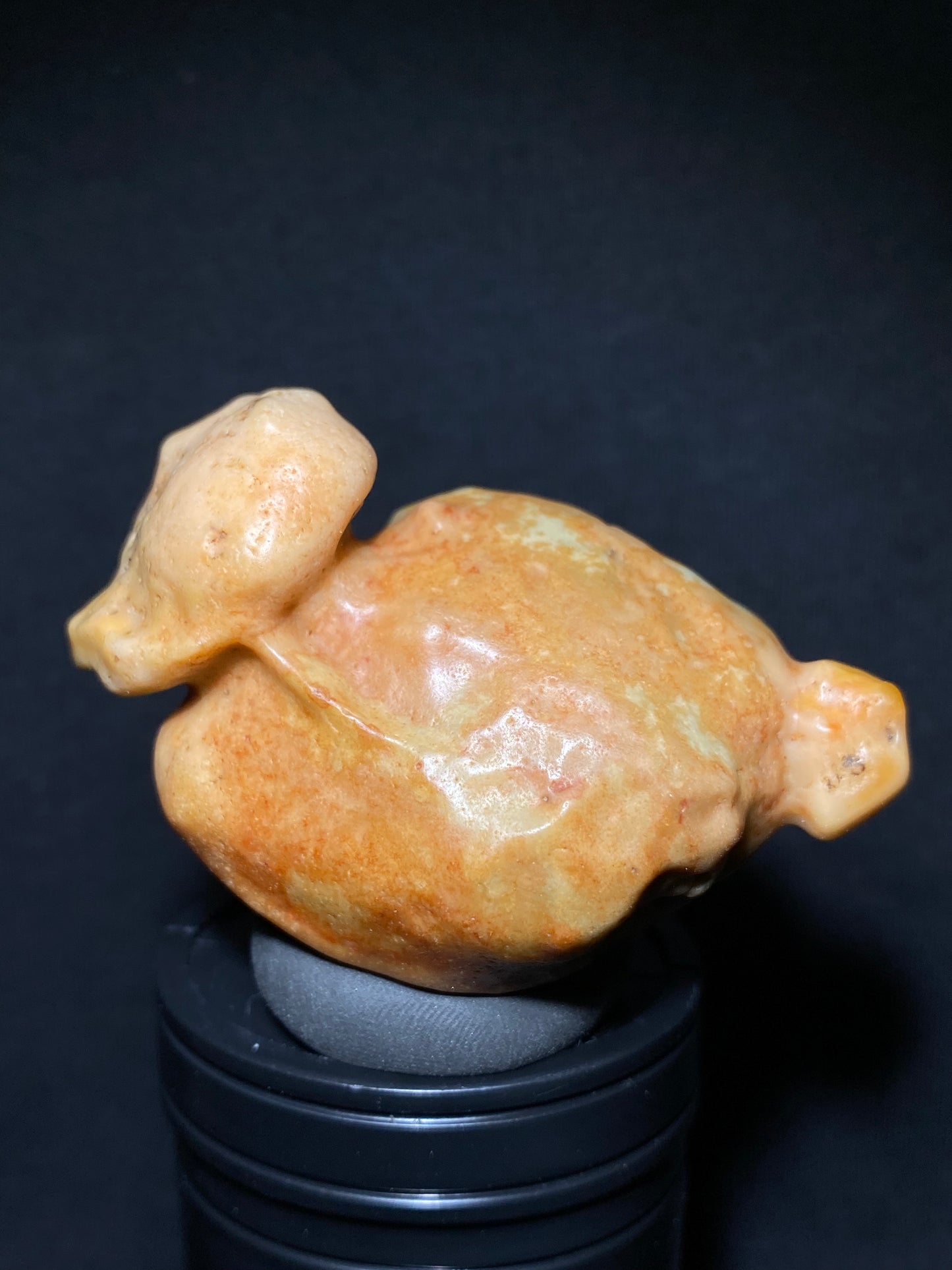 (1119)Alxa Gobi Desert Scenic Varnish Stone, Animal-like stone,  Naturally Bright Hue, Good for Display & Colloction