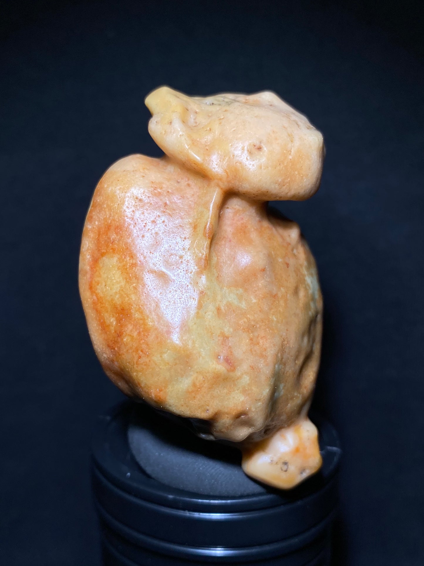 (1119)Alxa Gobi Desert Scenic Varnish Stone, Animal-like stone,  Naturally Bright Hue, Good for Display & Colloction