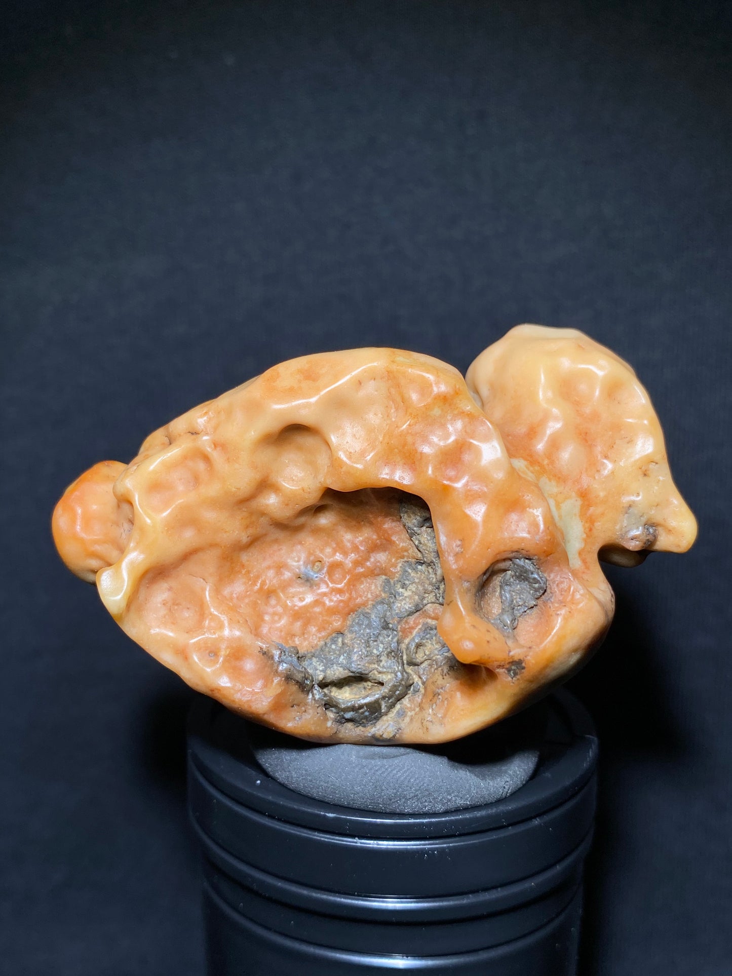 (1119)Alxa Gobi Desert Scenic Varnish Stone, Animal-like stone,  Naturally Bright Hue, Good for Display & Colloction