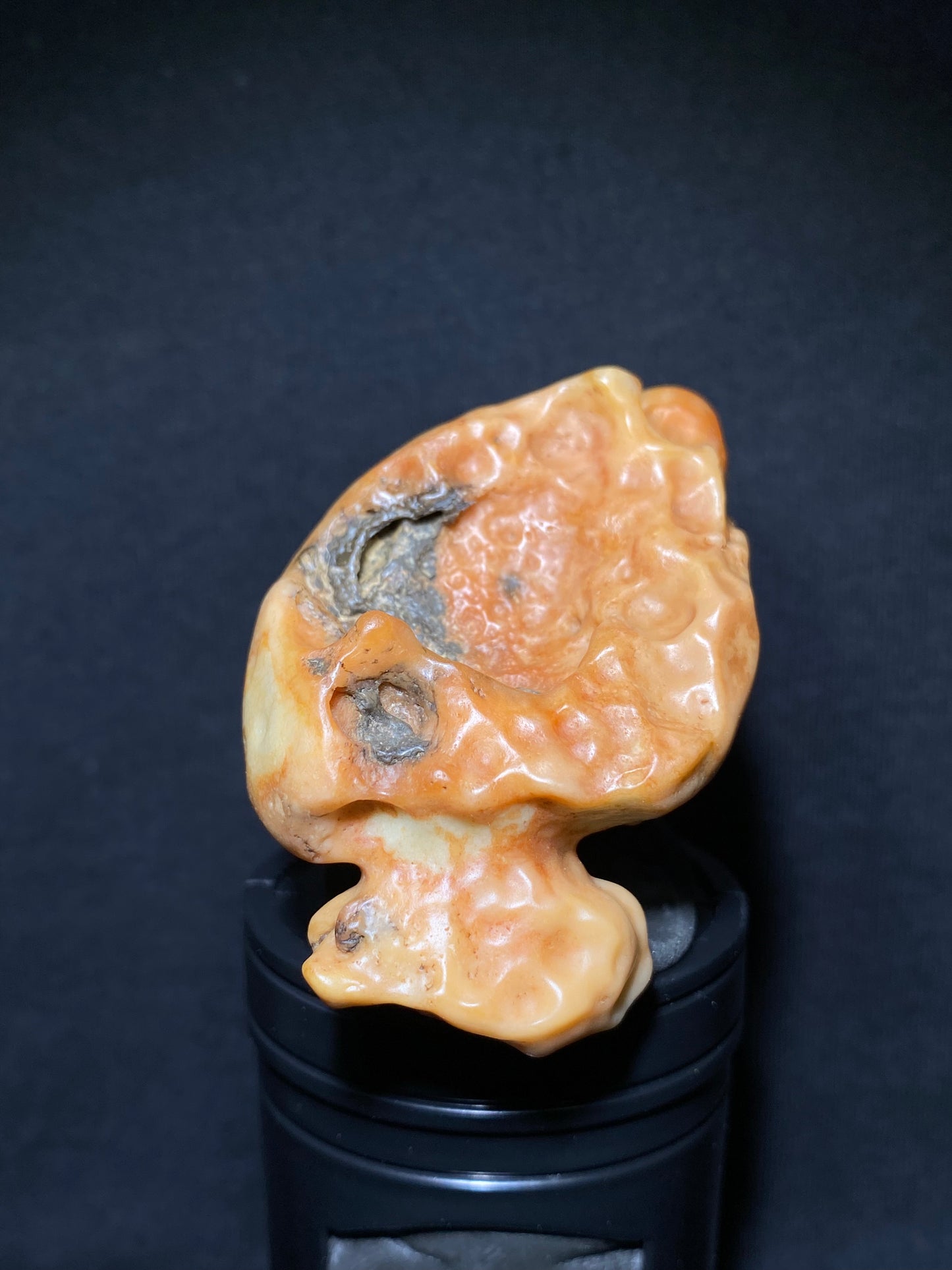 (1119)Alxa Gobi Desert Scenic Varnish Stone, Animal-like stone,  Naturally Bright Hue, Good for Display & Colloction