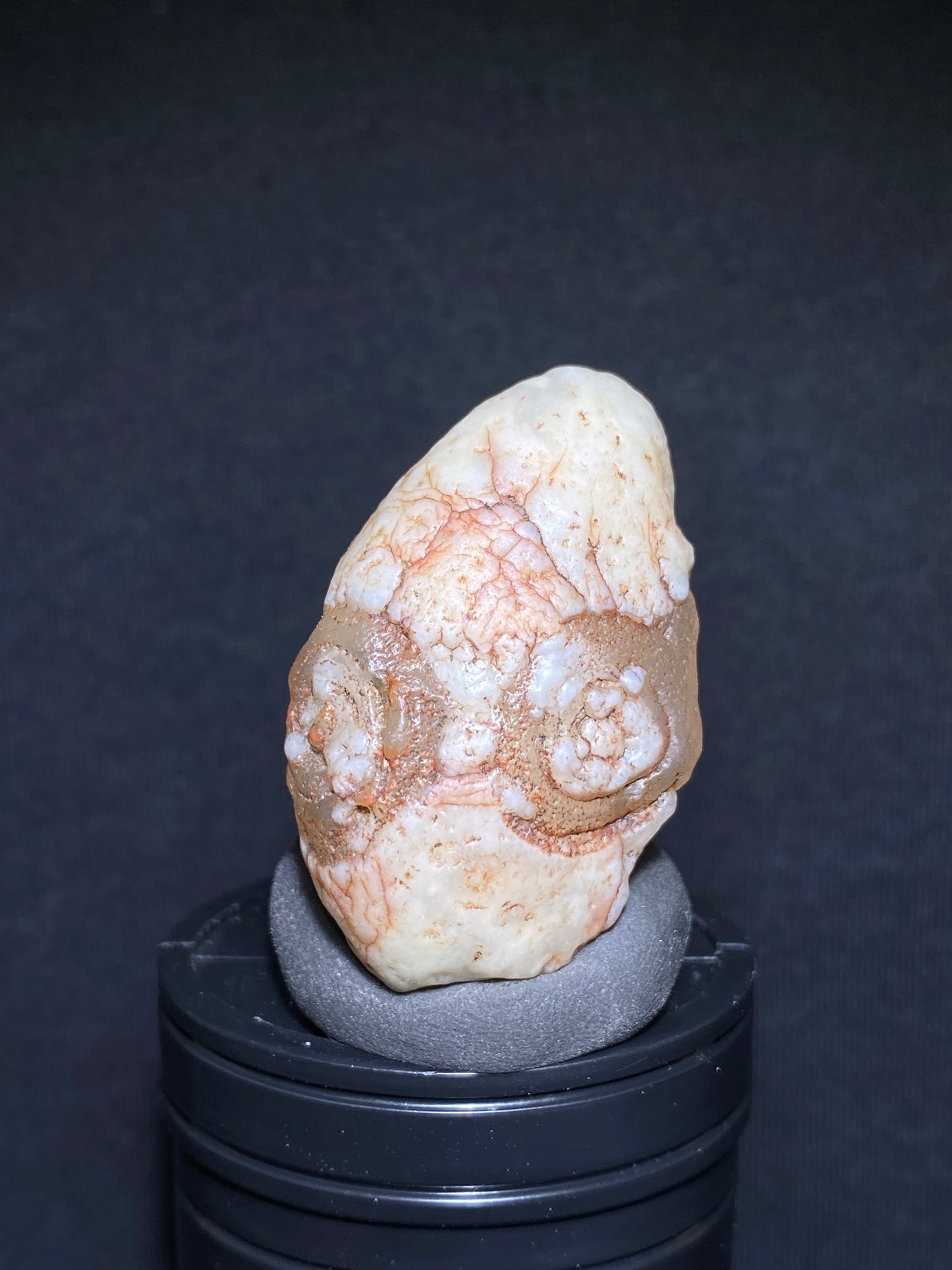 (1122) Alxa Gobi Desert eye Agate – Rare Mongolian Orbicular Stone with Twin Eyes and Grimace Pattern