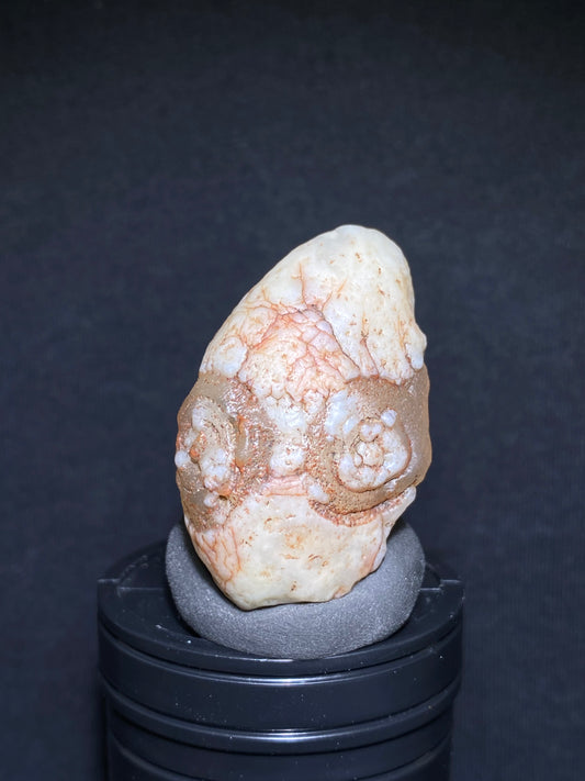 (1122) Alxa Gobi Desert eye Agate – Rare Mongolian Orbicular Stone with Twin Eyes and Grimace Pattern