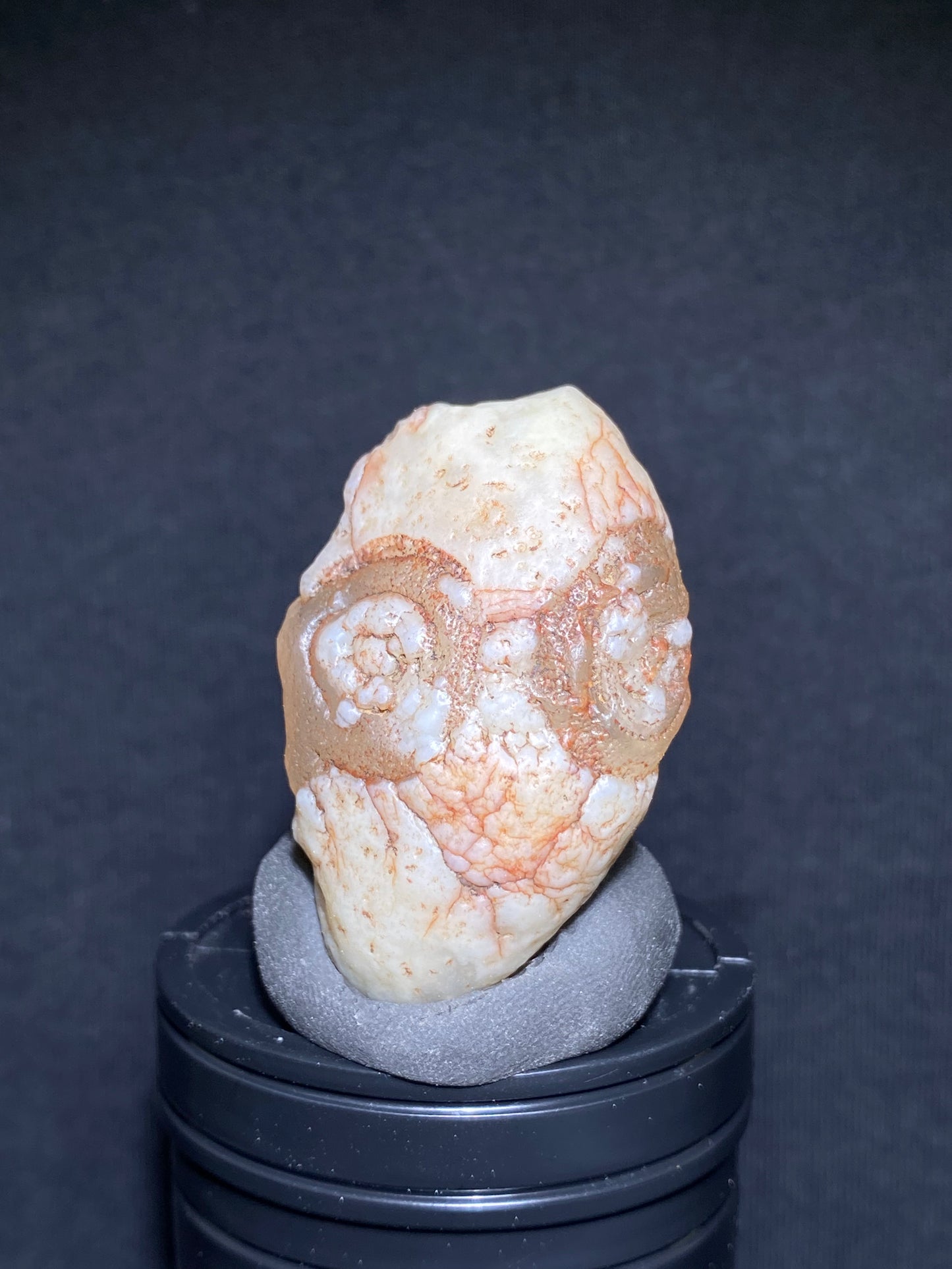 (1122) Alxa Gobi Desert eye Agate – Rare Mongolian Orbicular Stone with Twin Eyes and Grimace Pattern