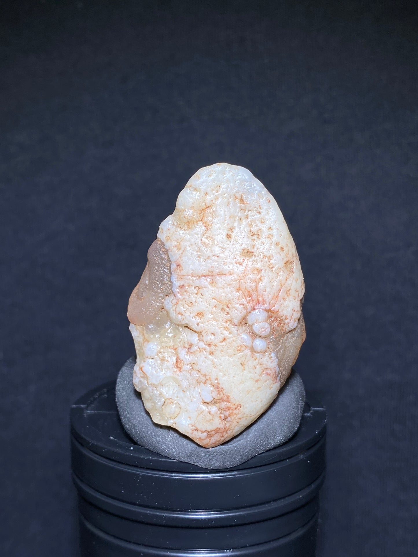 (1122) Alxa Gobi Desert eye Agate – Rare Mongolian Orbicular Stone with Twin Eyes and Grimace Pattern