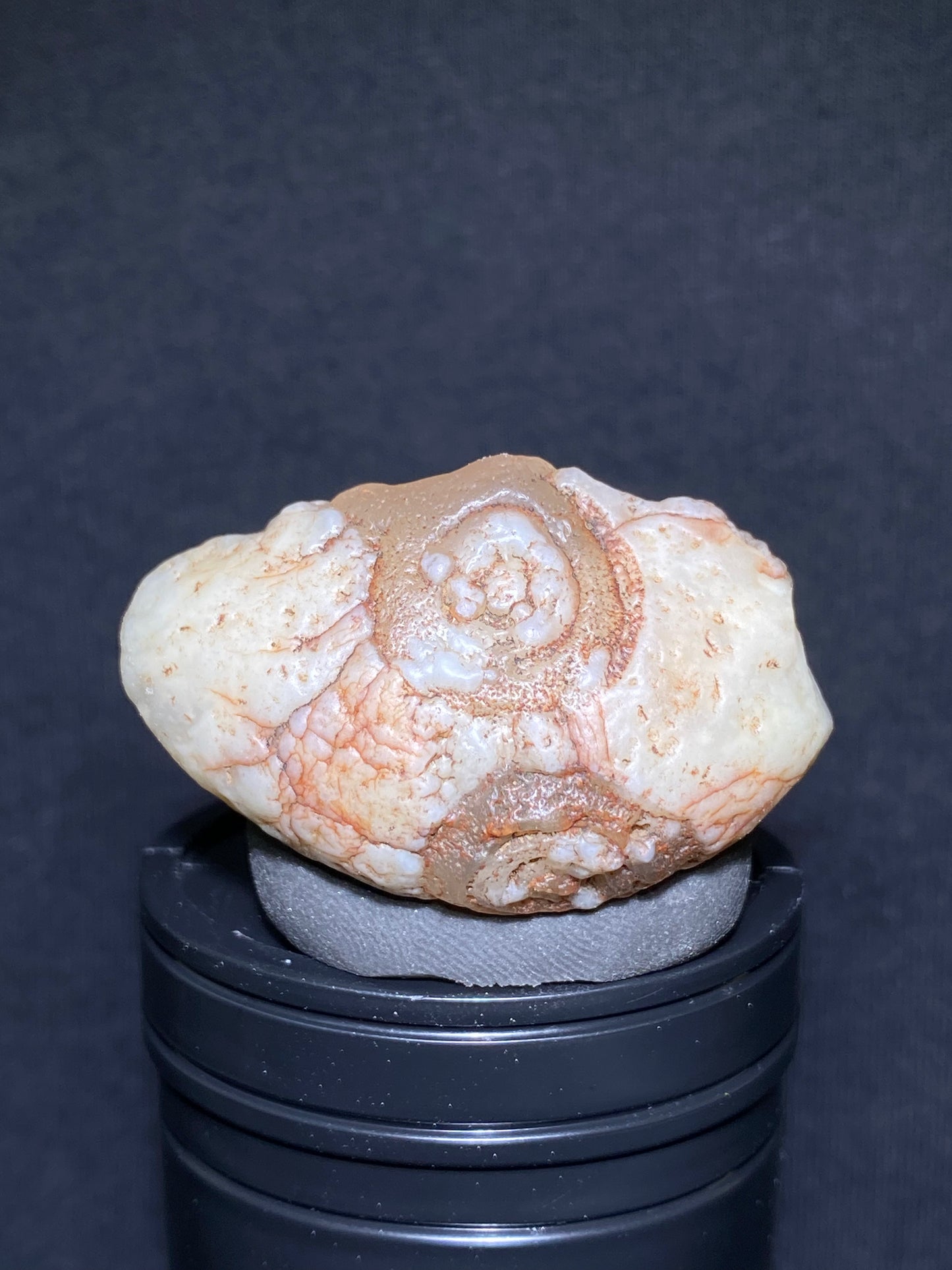 (1122) Alxa Gobi Desert eye Agate – Rare Mongolian Orbicular Stone with Twin Eyes and Grimace Pattern