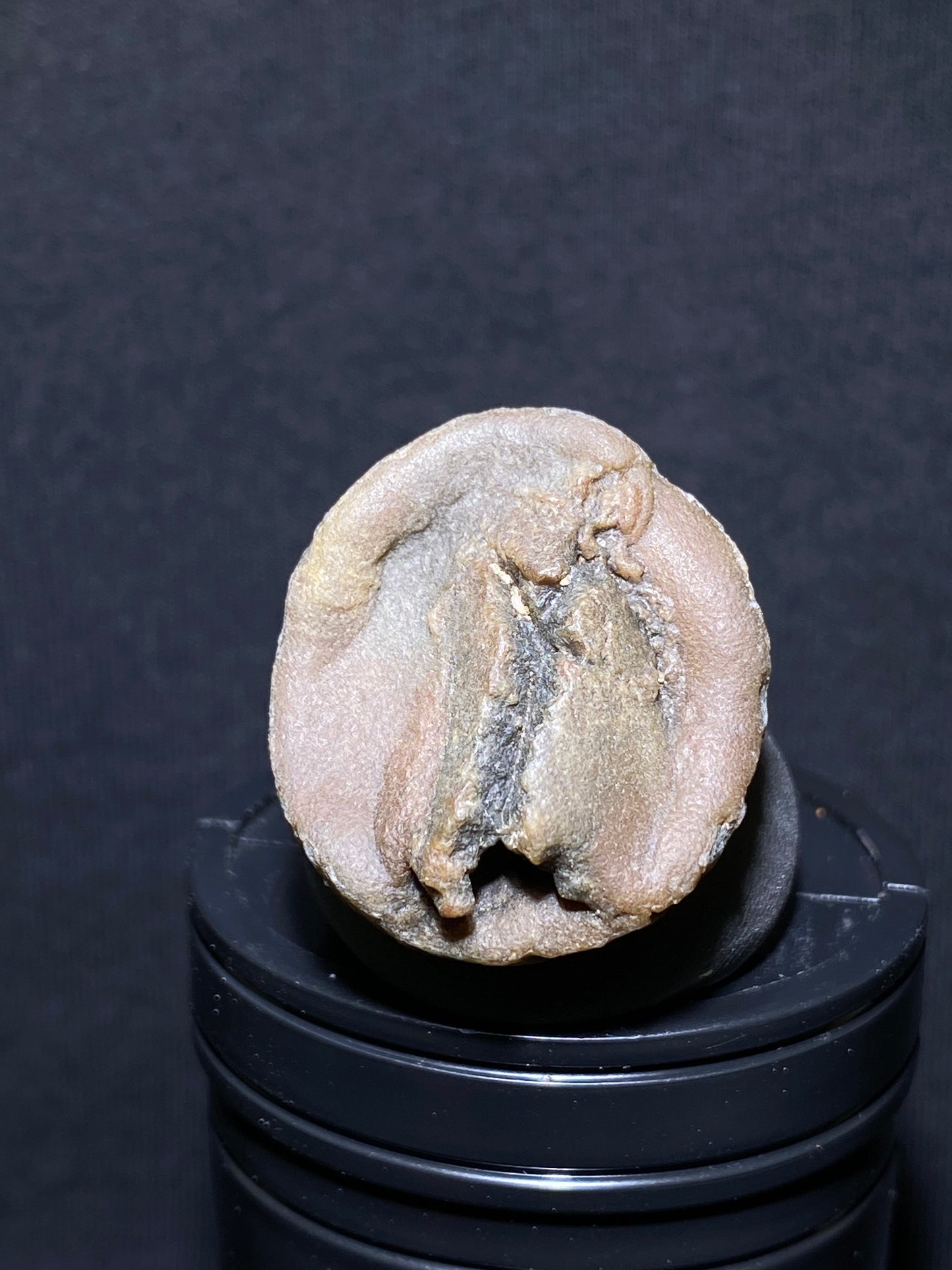 (1126) Alxa Gobi Desert Agate, rough nature stone,Natural Color Raw Stone from Inner Mongolia.