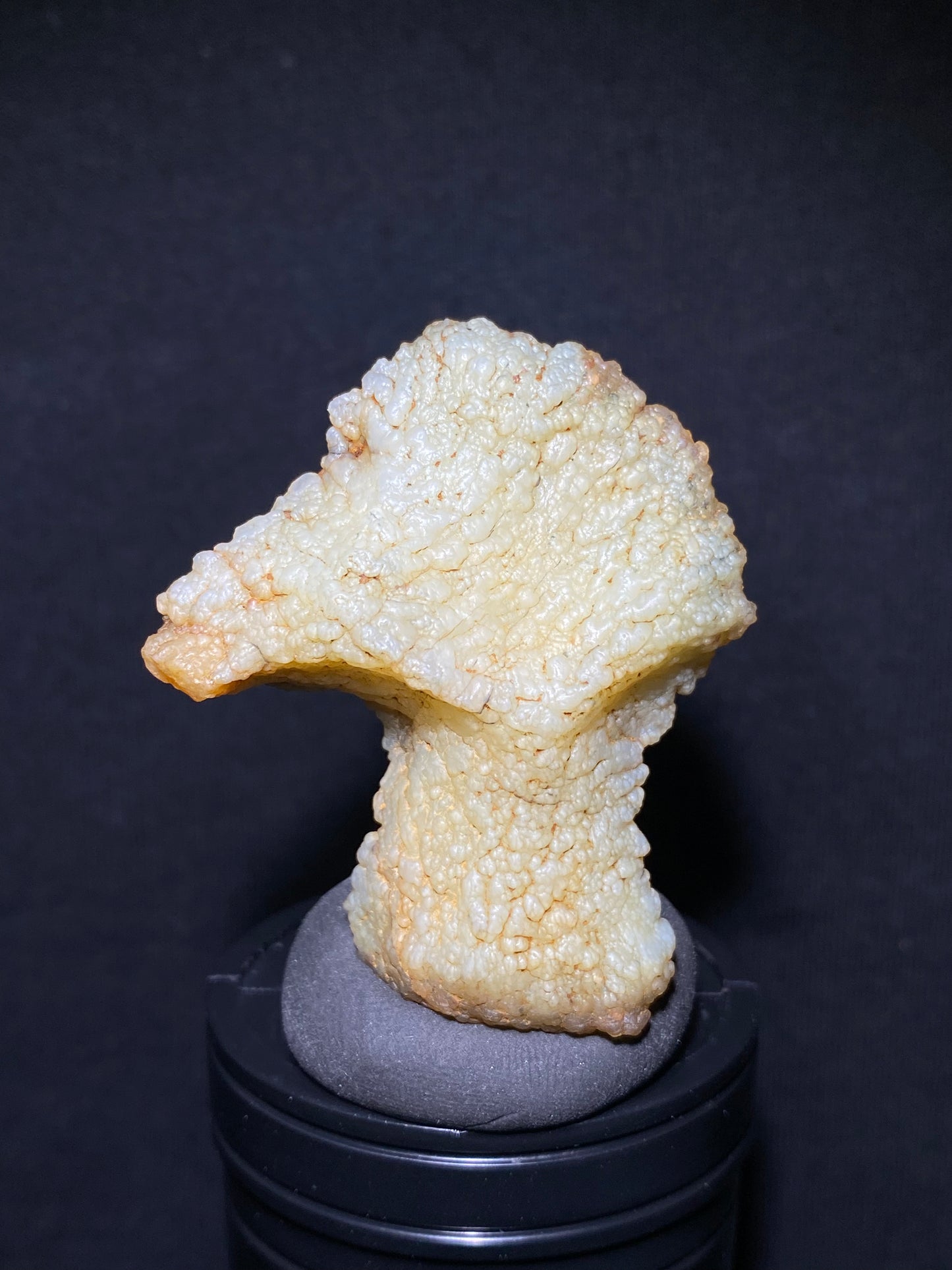 (1131)Alxa Gobi Desert Agate, rough nature stone, Resembling an animal, Natural Color Raw Stone from Inner Mongolia.