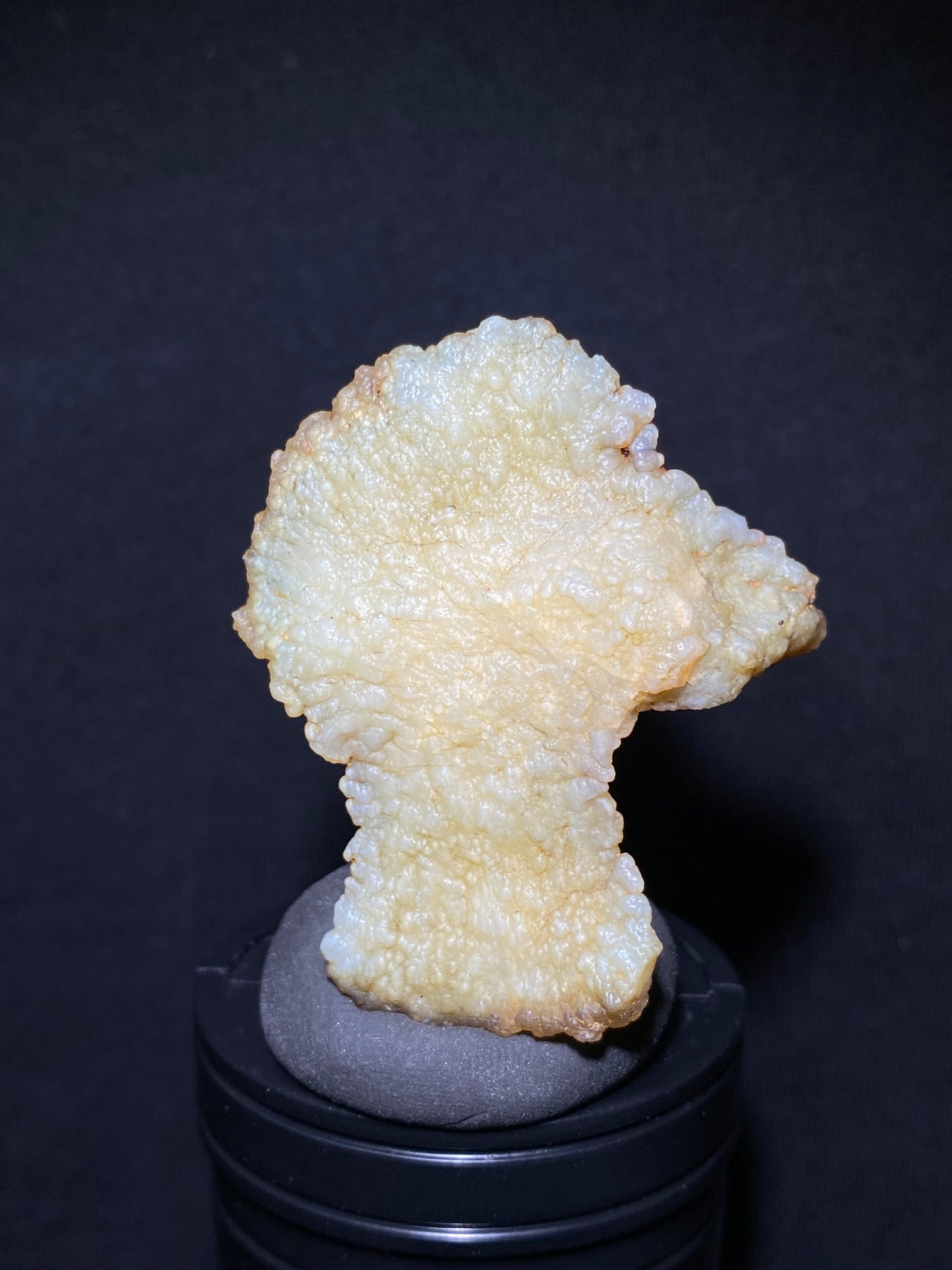 (1131)Alxa Gobi Desert Agate, rough nature stone, Resembling an animal, Natural Color Raw Stone from Inner Mongolia.