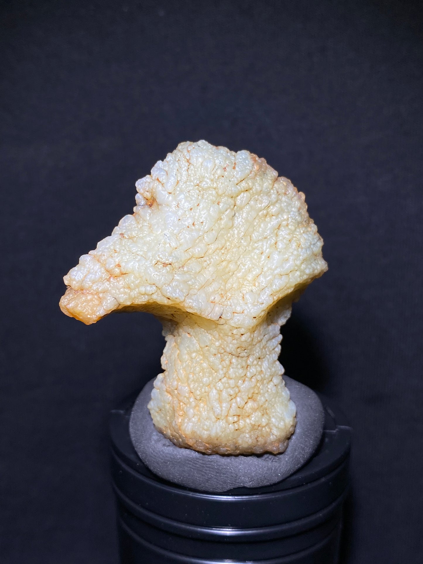 (1131)Alxa Gobi Desert Agate, rough nature stone, Resembling an animal, Natural Color Raw Stone from Inner Mongolia.