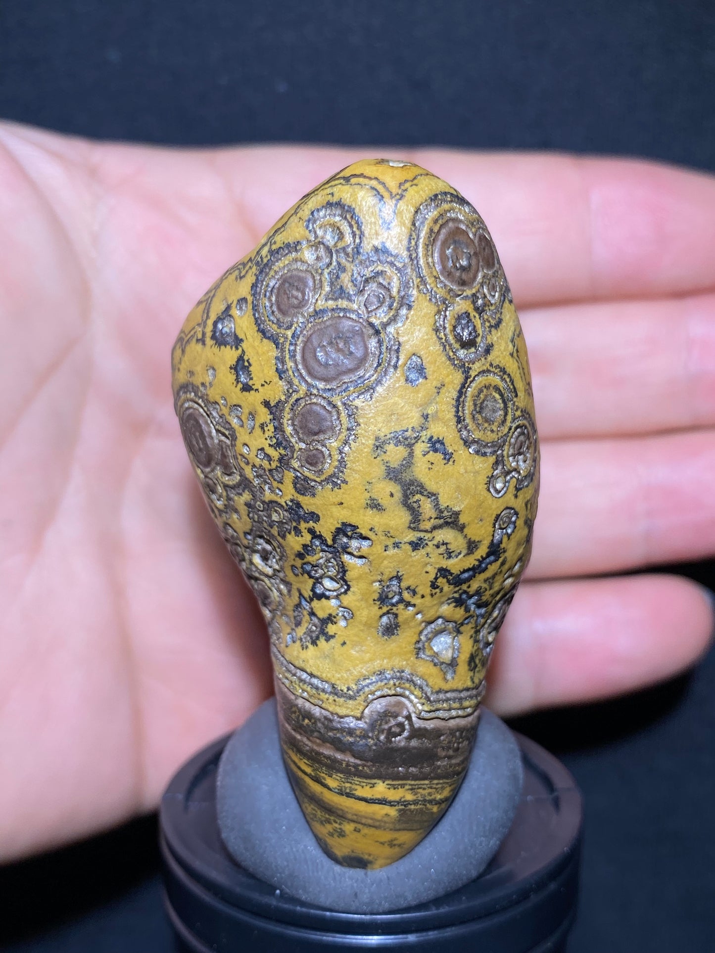 (1133)Alxa Gobi Agate – Rare Orbicular Mongolian Gobi Stone with Natural Ring or Coin Pattern, Handheld Raw Spiral Agate.