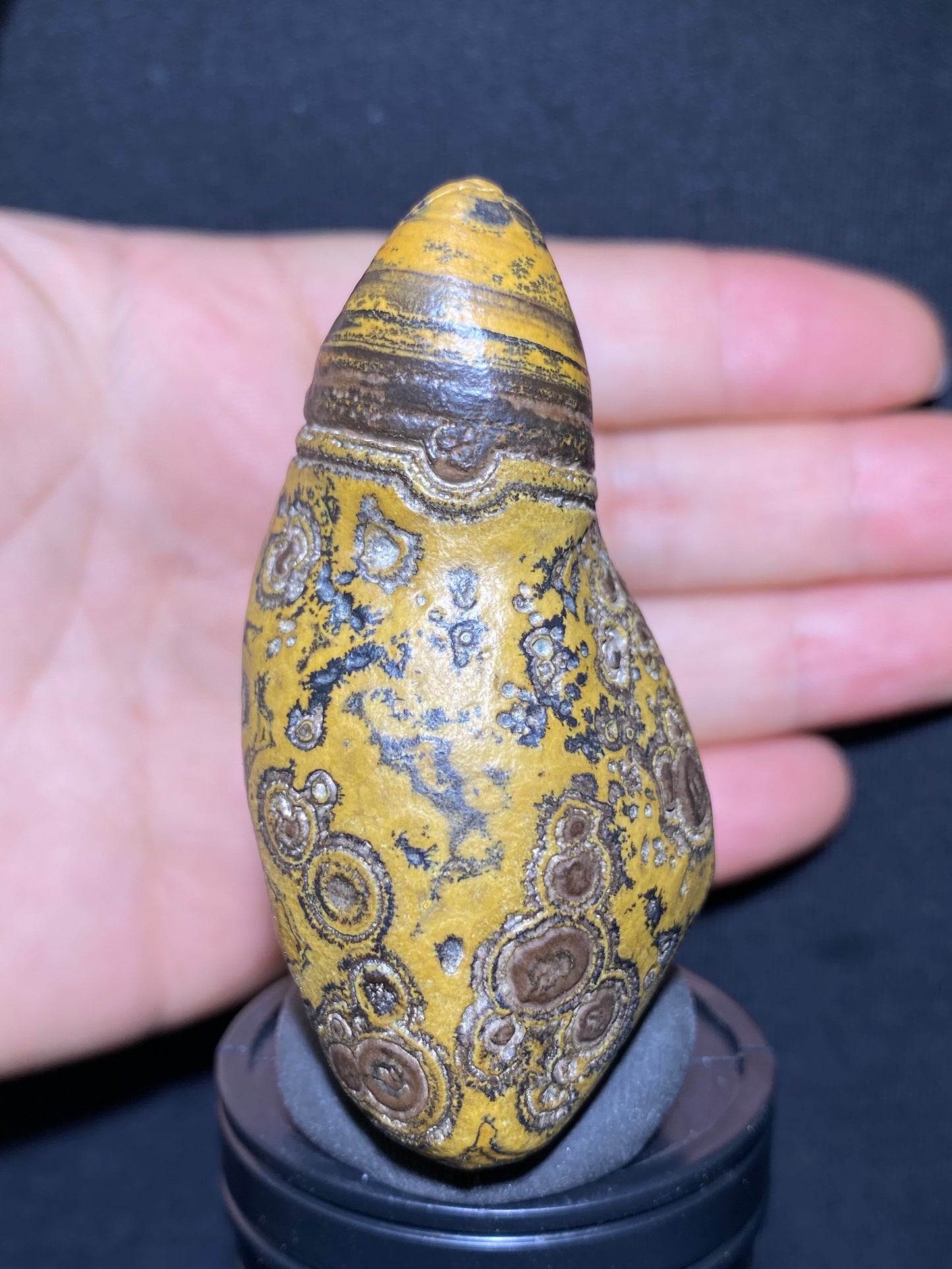 (1133)Alxa Gobi Agate – Rare Orbicular Mongolian Gobi Stone with Natural Ring or Coin Pattern, Handheld Raw Spiral Agate.
