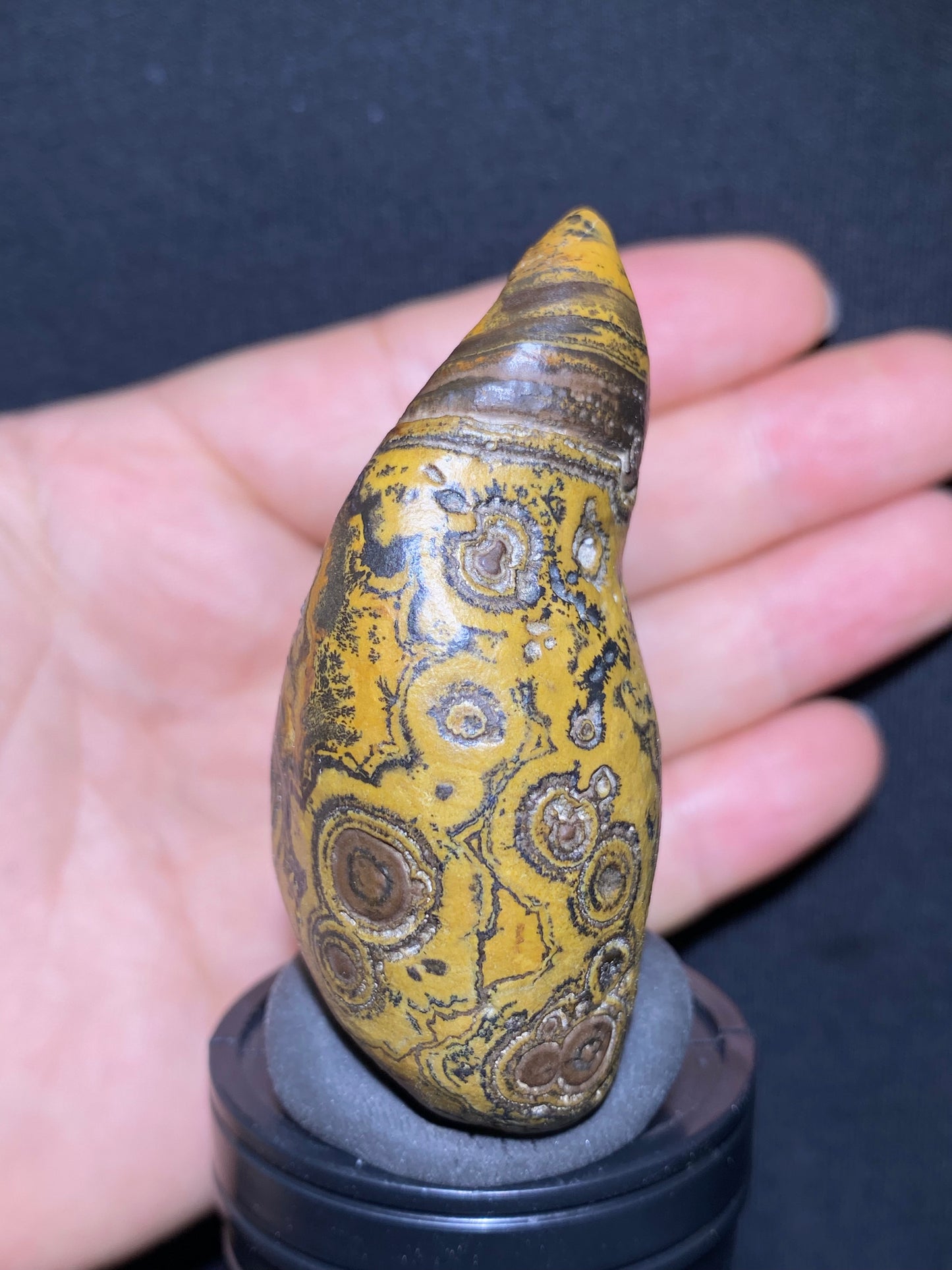 (1133)Alxa Gobi Agate – Rare Orbicular Mongolian Gobi Stone with Natural Ring or Coin Pattern, Handheld Raw Spiral Agate.