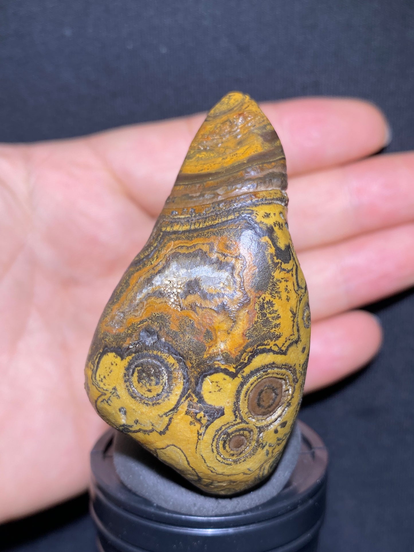 (1133)Alxa Gobi Agate – Rare Orbicular Mongolian Gobi Stone with Natural Ring or Coin Pattern, Handheld Raw Spiral Agate.