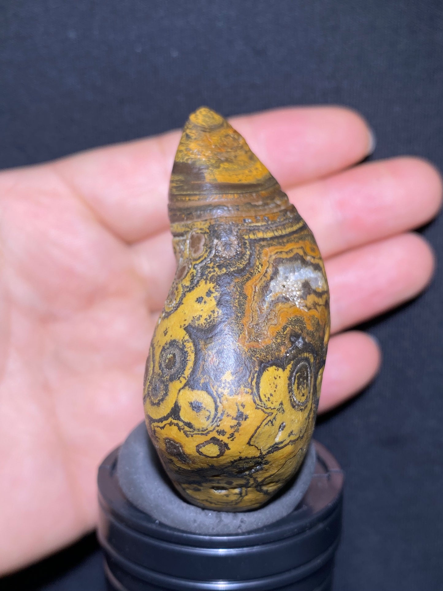 (1133)Alxa Gobi Agate – Rare Orbicular Mongolian Gobi Stone with Natural Ring or Coin Pattern, Handheld Raw Spiral Agate.