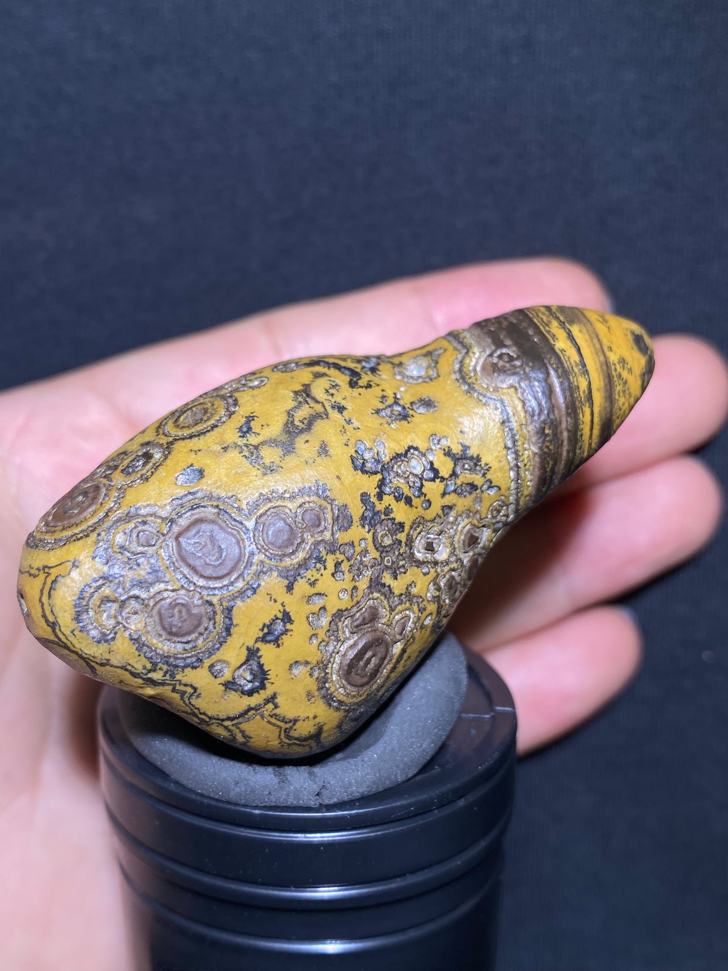 (1133)Alxa Gobi Agate – Rare Orbicular Mongolian Gobi Stone with Natural Ring or Coin Pattern, Handheld Raw Spiral Agate.