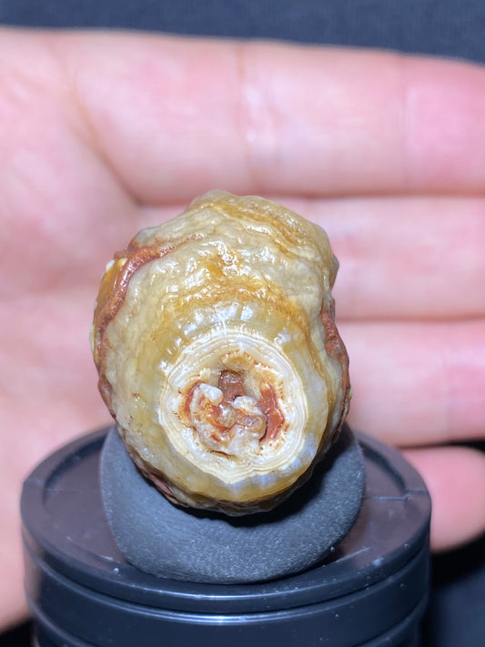 (1137)Alxa Gobi Desert red eye Agate, rough nature stone,Natural Color Raw Stone from Inner Mongolia.