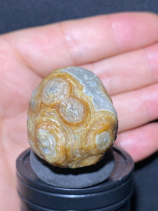 (1138)Alxa Gobi Desert eye Agate, rough nature stone, Natural Color Raw Stone from Inner Mongolia.