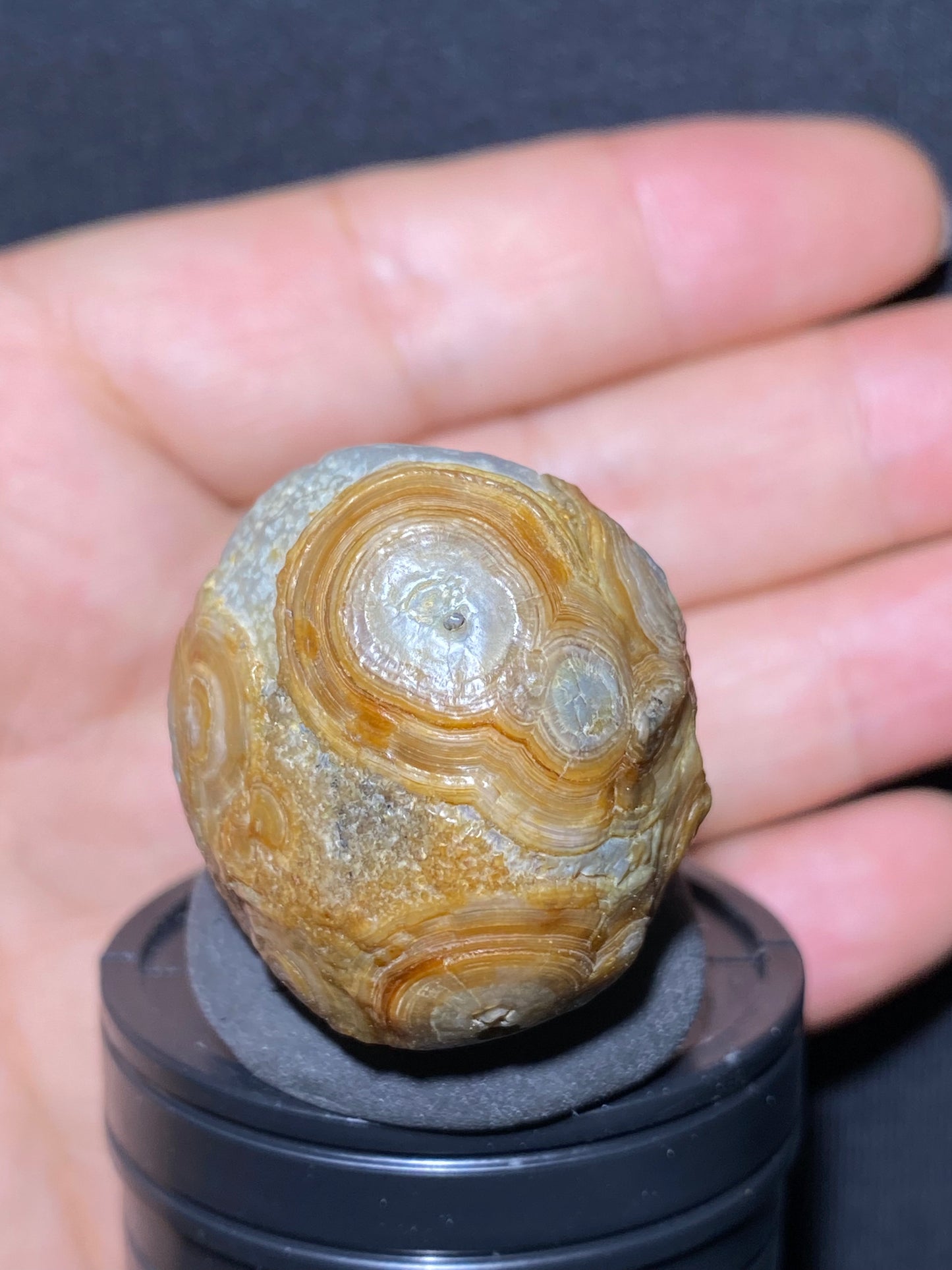 (1138)Alxa Gobi Desert eye Agate, rough nature stone, Natural Color Raw Stone from Inner Mongolia.