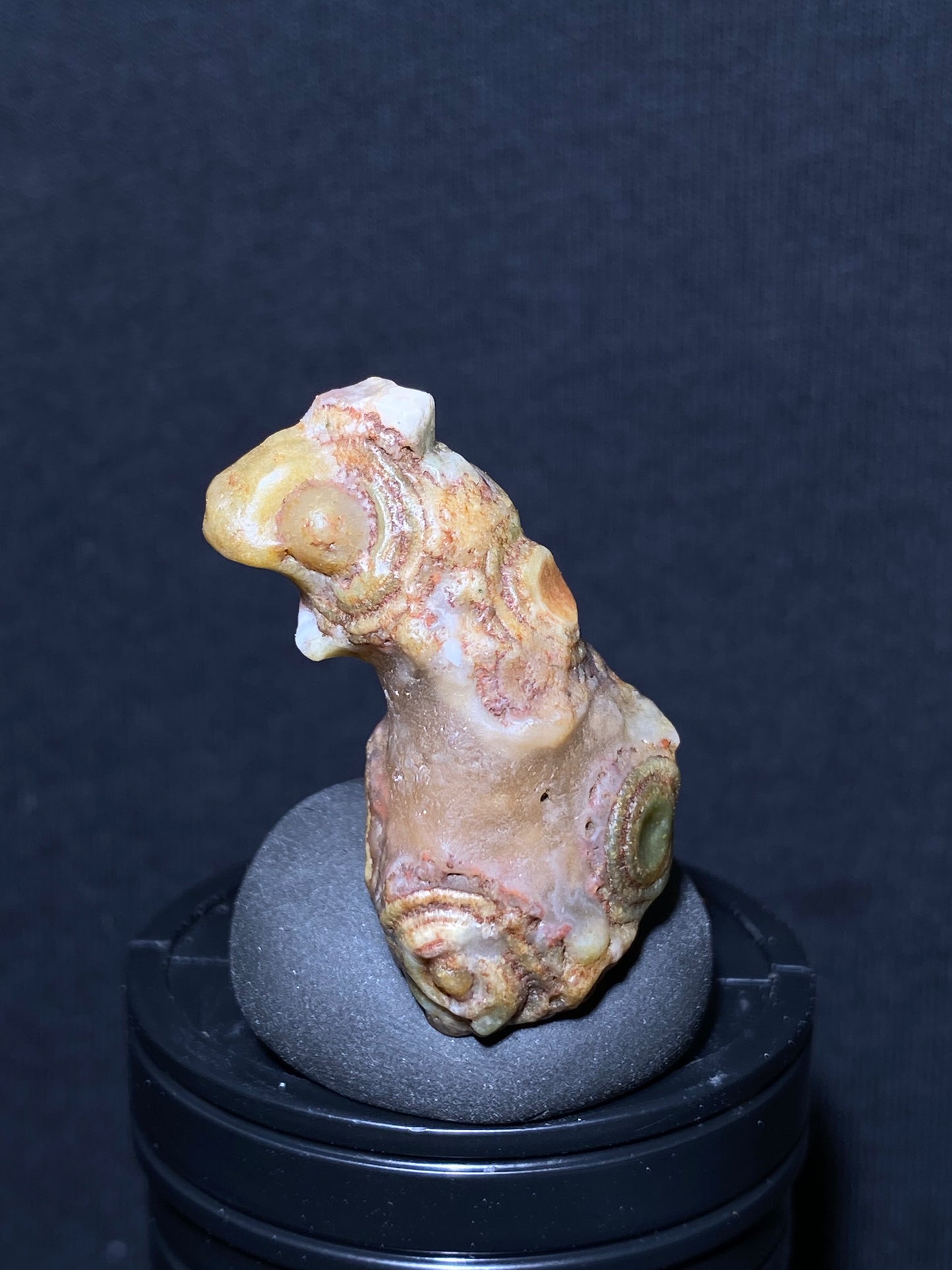 (1139)Alxa Gobi Desert squirrel-Shaped Eye Agate – Rare Natural Rough Mongolian Agate with Unique Animal-Shaped Collector’s Stone