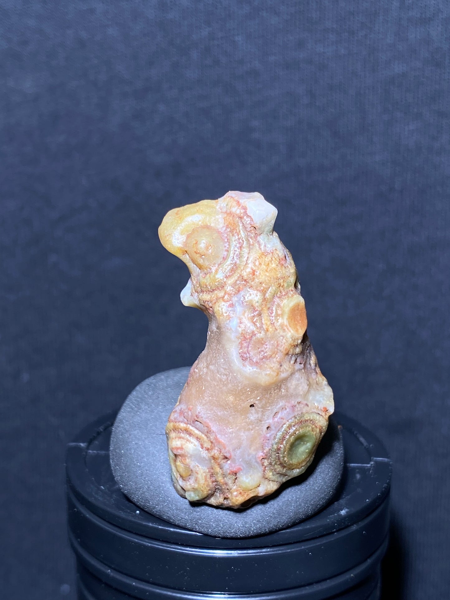 (1139)Alxa Gobi Desert squirrel-Shaped Eye Agate – Rare Natural Rough Mongolian Agate with Unique Animal-Shaped Collector’s Stone