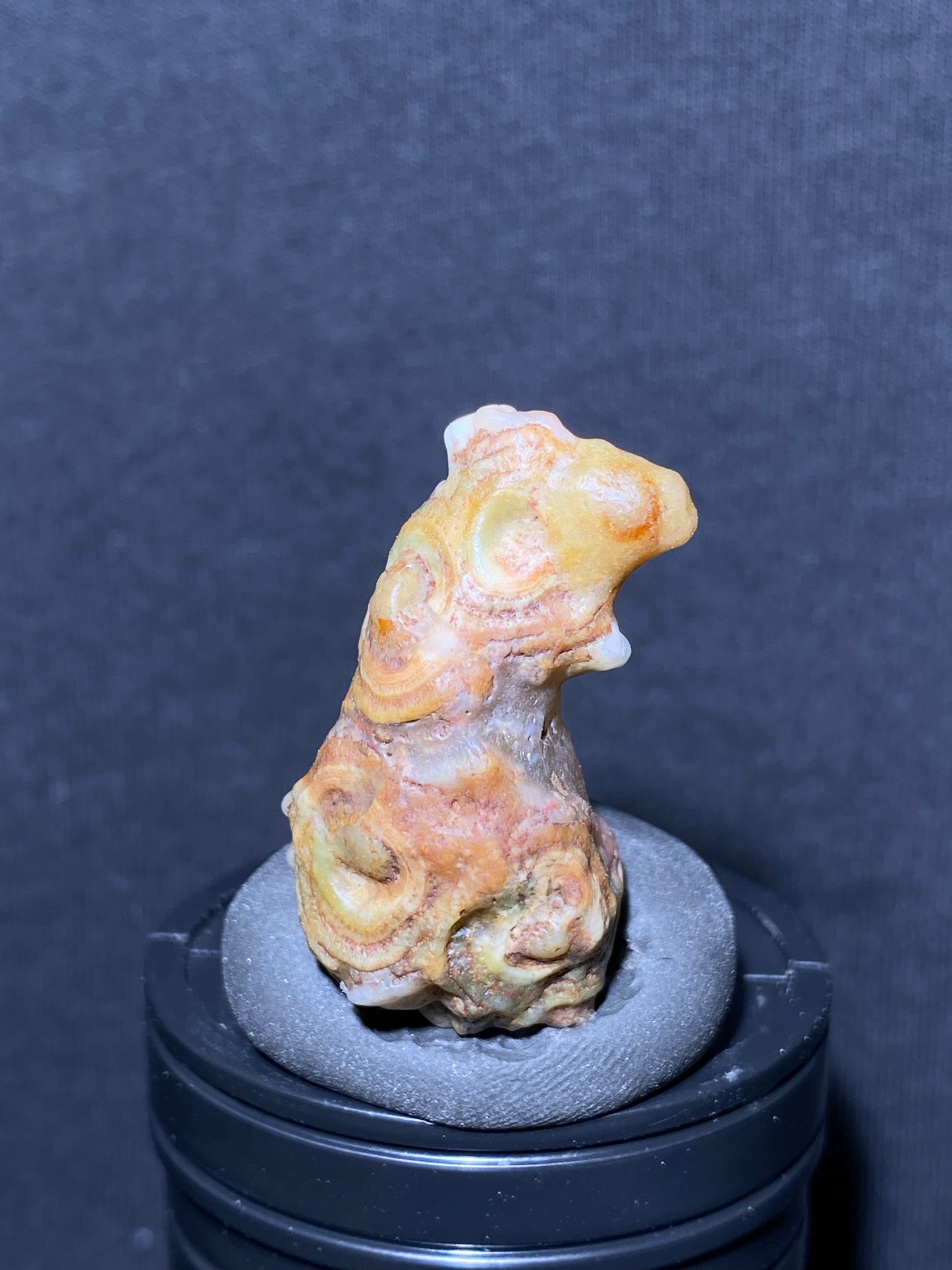 (1139)Alxa Gobi Desert squirrel-Shaped Eye Agate – Rare Natural Rough Mongolian Agate with Unique Animal-Shaped Collector’s Stone