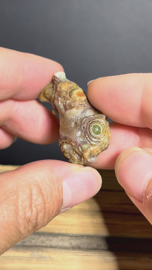 (1139)Alxa Gobi Eye Agate- Natural Squirrel- Shaped Collector Stone